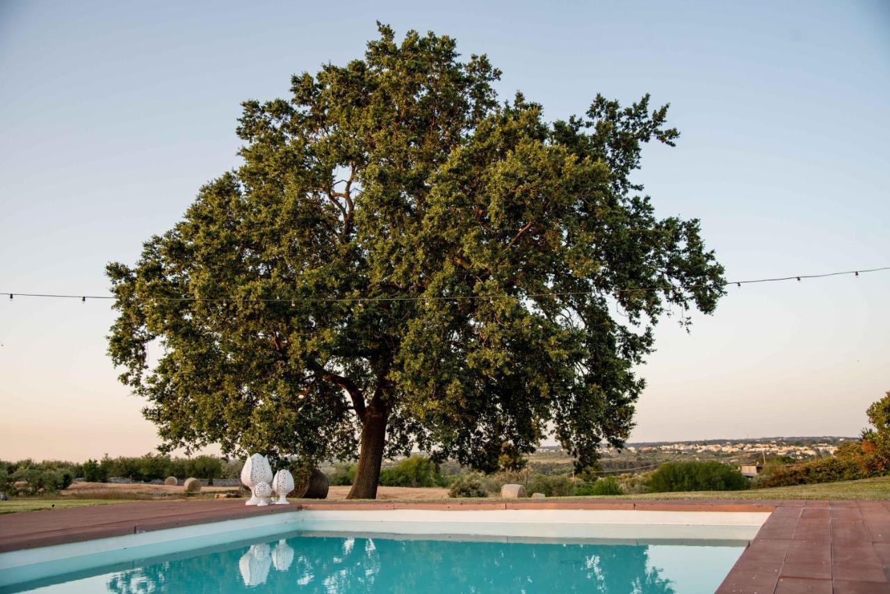 Trulli Paparale Αλμπερομπέλο Εξωτερικό φωτογραφία
