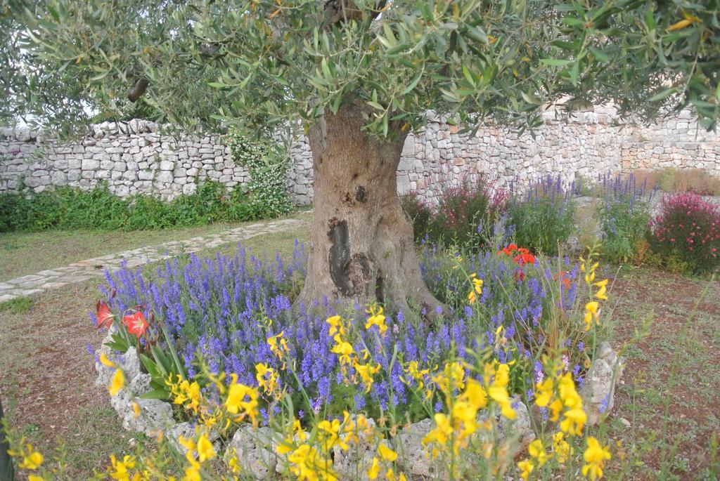 Trulli Paparale Αλμπερομπέλο Εξωτερικό φωτογραφία